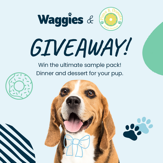 GIVEAWAY! Head to our Instagram to win!