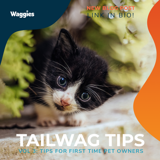 Vol 3: Tips for First Time Pet Owners