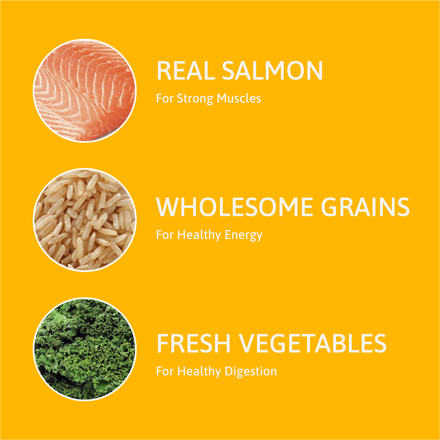 Salmon Cat Food
