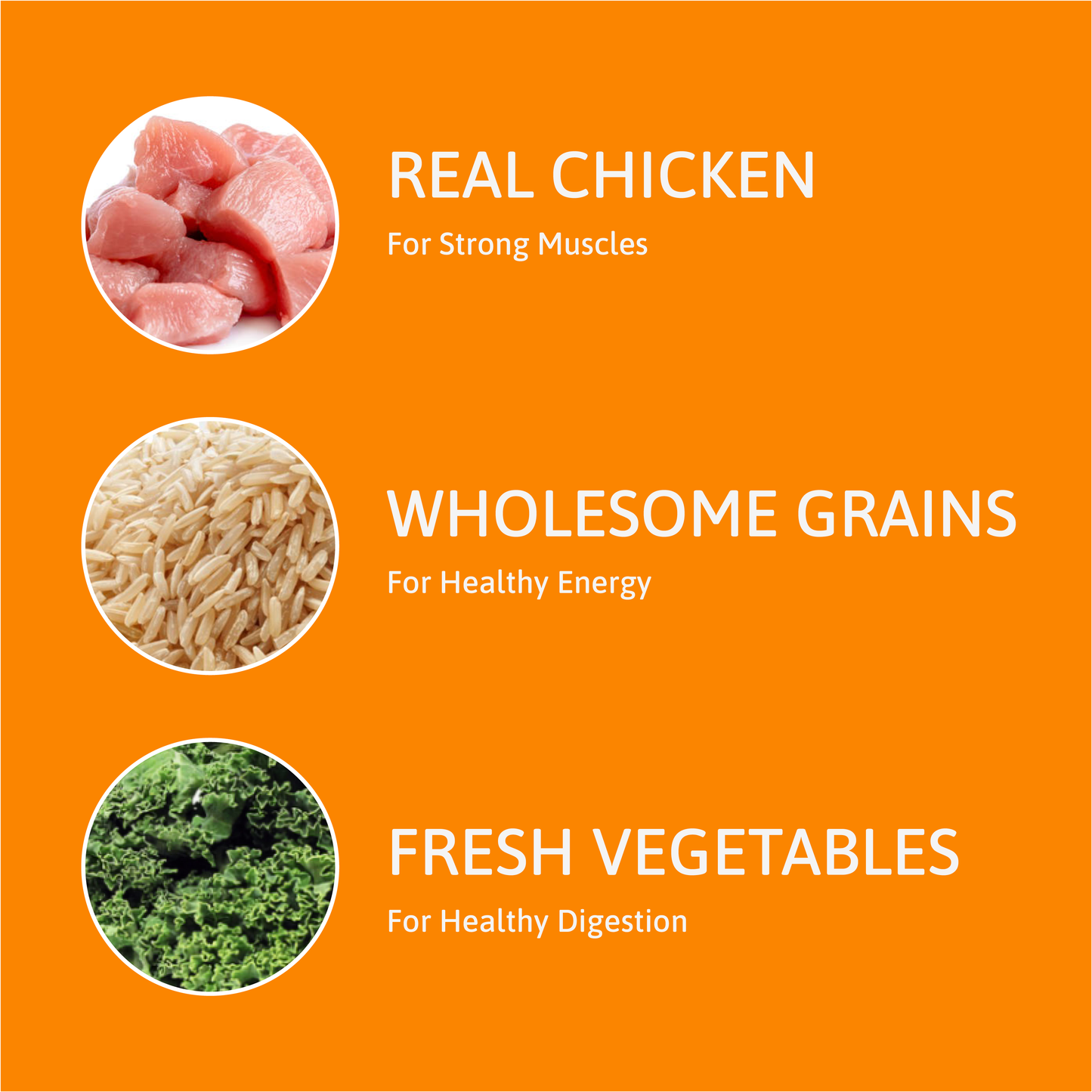 Dog Food - Chicken