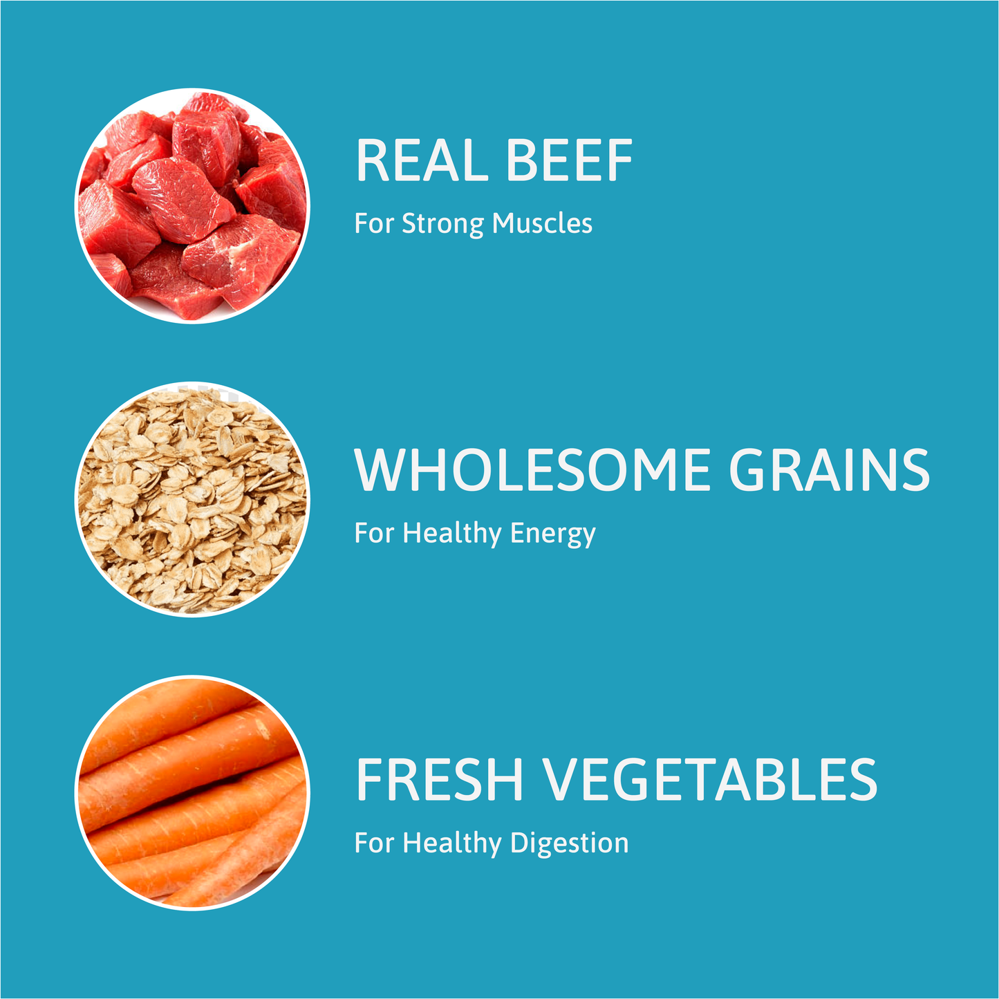 Dog Food - Beef